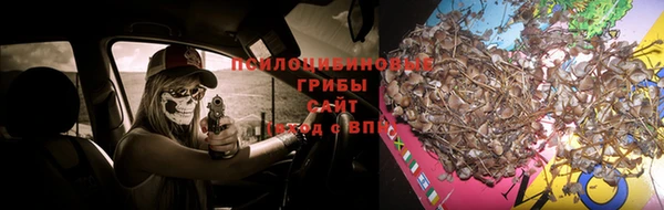 гашик Белоозёрский