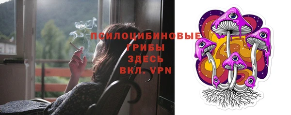 гашик Белоозёрский