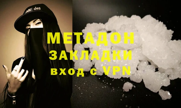 шишки Белокуриха