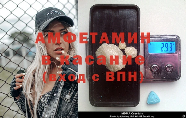 шишки Белокуриха