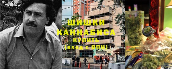шишки Белокуриха