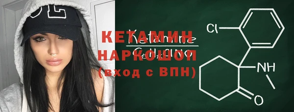 шишки Белокуриха