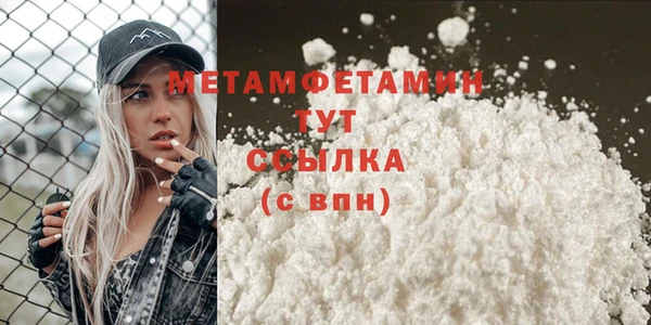 шишки Белокуриха