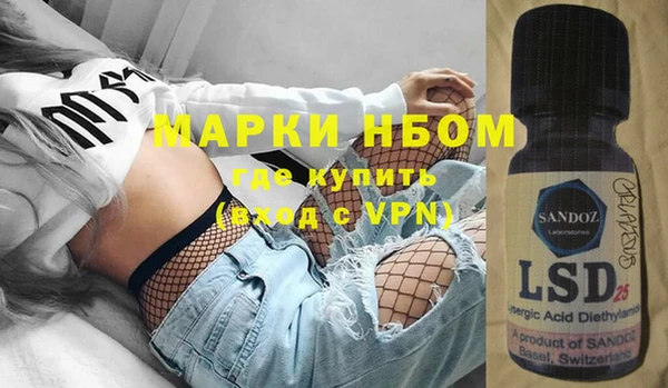 шишки Белокуриха