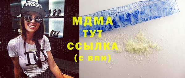 шишки Белокуриха