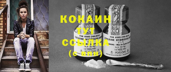 гашик Белоозёрский