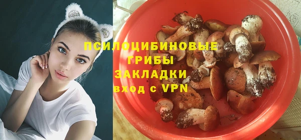 шишки Белокуриха