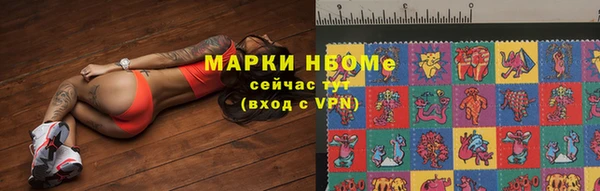 шишки Белокуриха