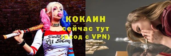шишки Белокуриха