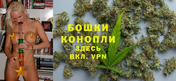 гашик Белоозёрский