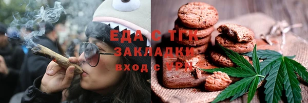 шишки Белокуриха
